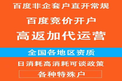百度竞价代运营的成功案例：从零到一的突破